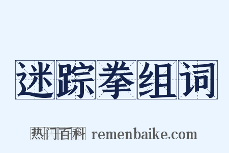 迷踪拳组词是什么意思的图片